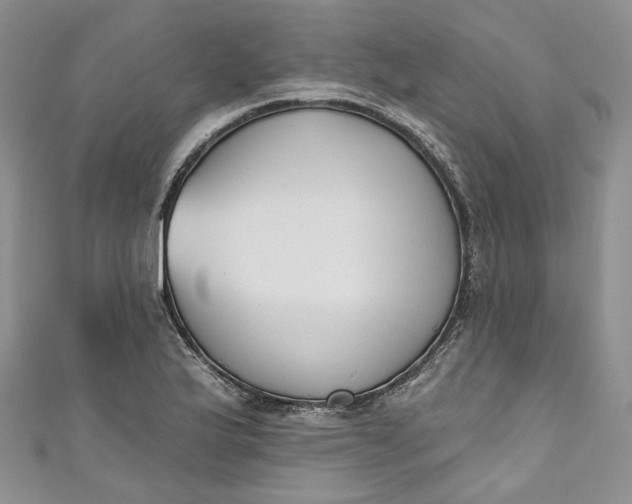 X0000110901175200907021531