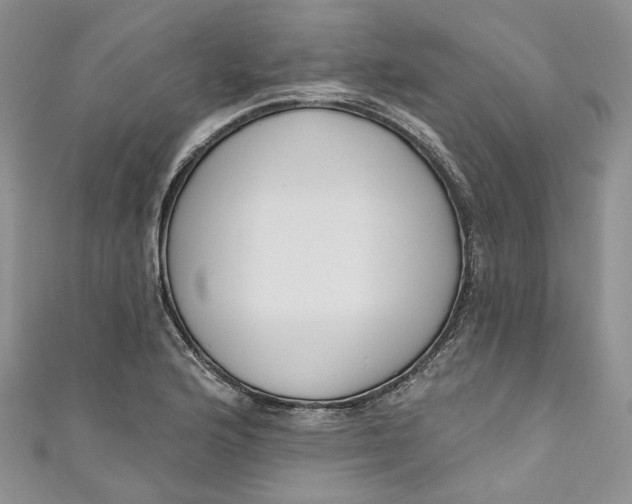 X0000110901176200907021531