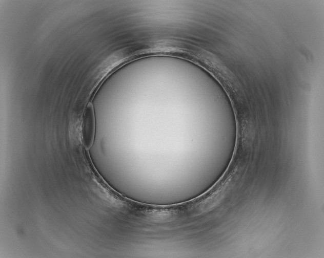 X0000110901177200907021531