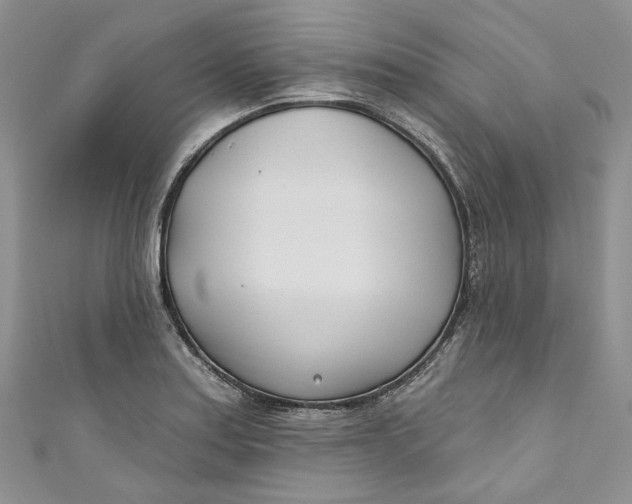 X0000110901179200907021531