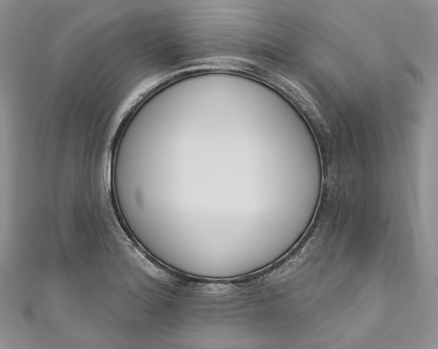 X0000110901180200907021531