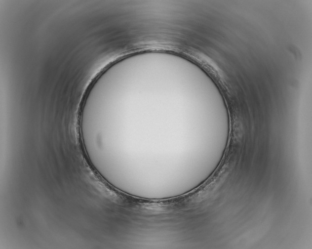X0000110901182200907021531
