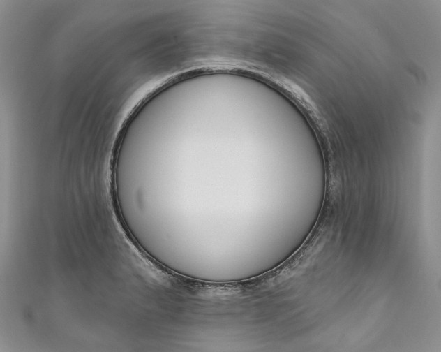 X0000110901183200907021531