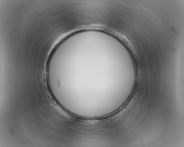 X0000110901184200907021531