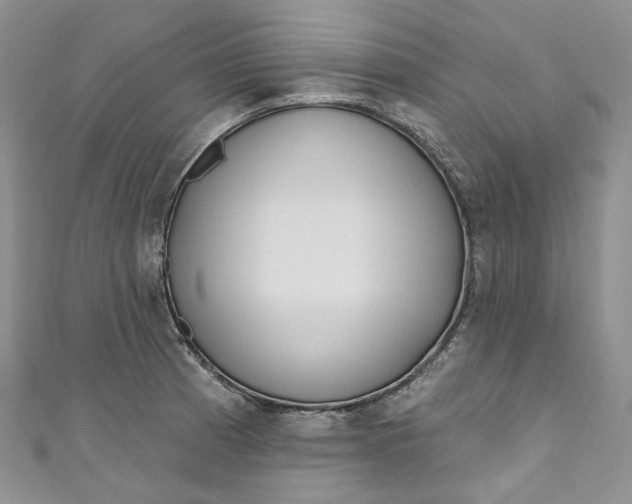X0000110901185200907021531