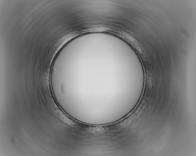 X0000110901186200907021531