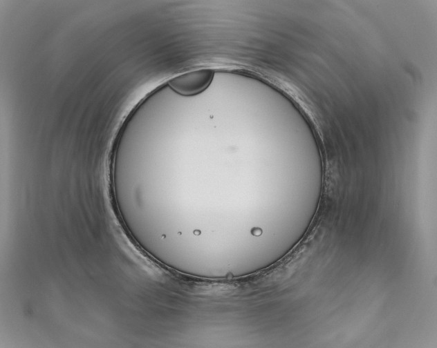 X0000110901187200907021531