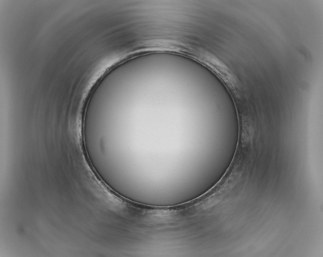 X0000110901188200907021531