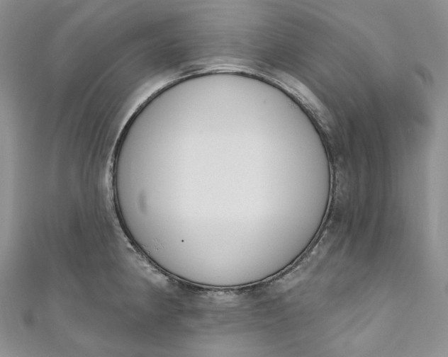 X0000110901190200907021531