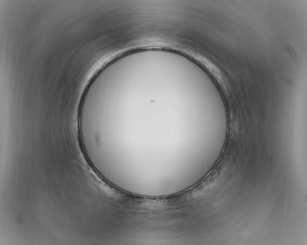 X0000110901191200907021531
