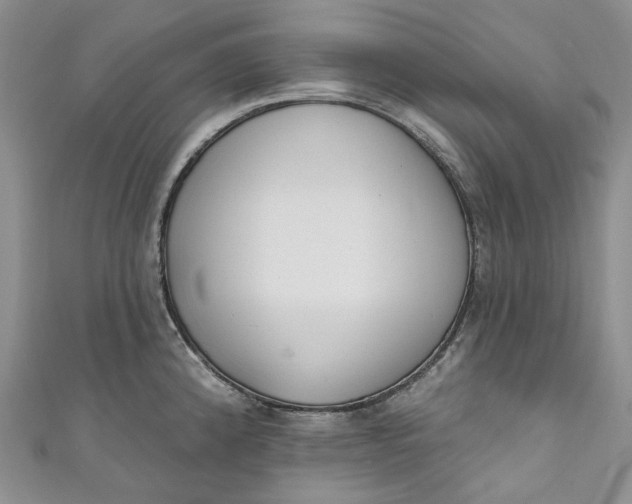 X0000110901192200907021531