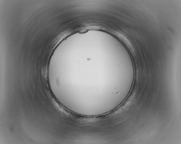 X0000110901193200907021531
