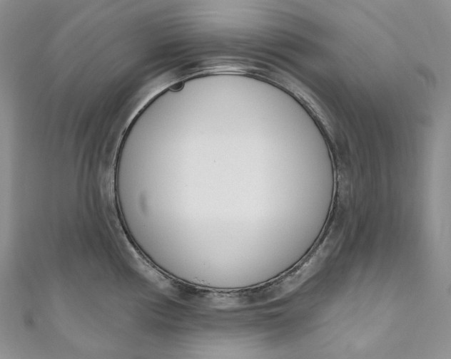 X0000110901194200907021531