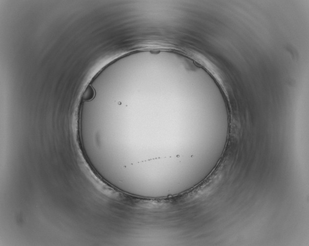 X0000110901195200907021531