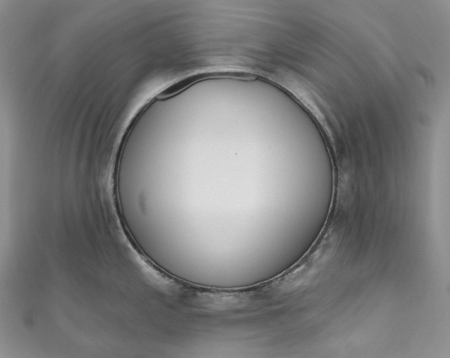 X0000110901197200907021531