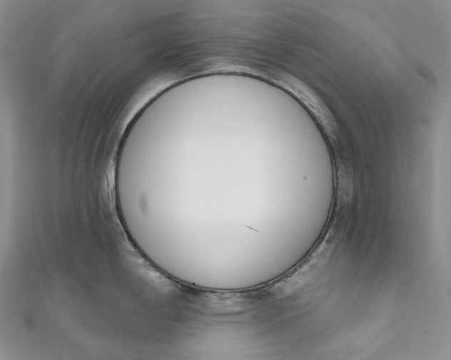 X0000110901198200907021531