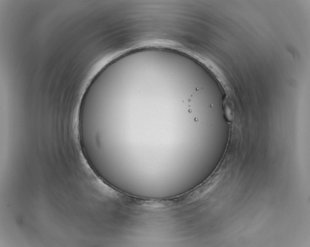 X0000110901199200907021531
