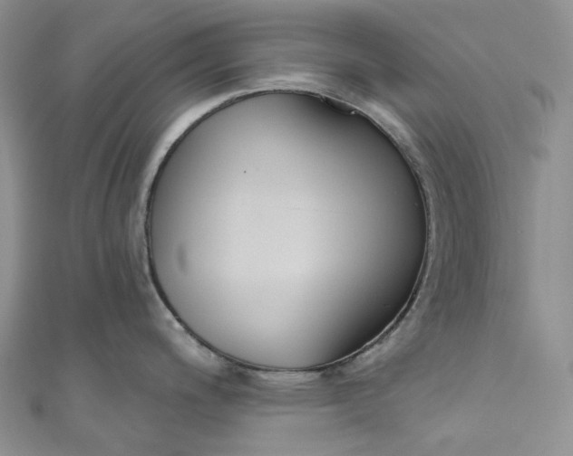 X0000110901200200907021531