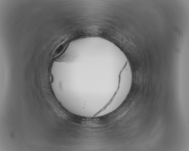 X0000110901201200907021530