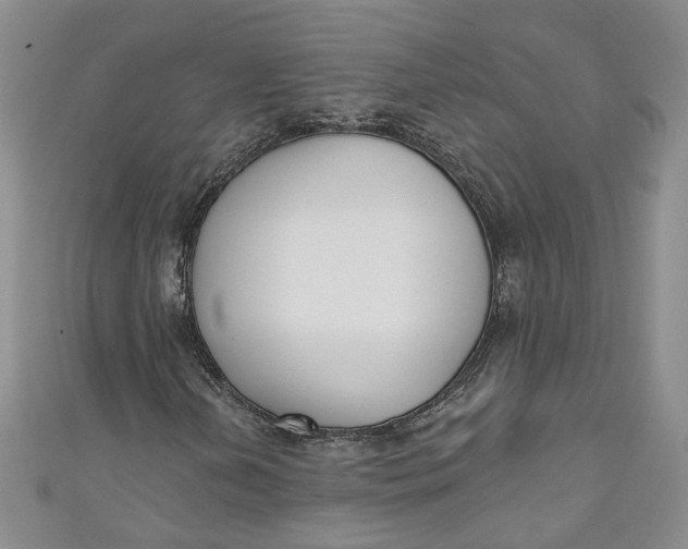 X0000110901202200907021530