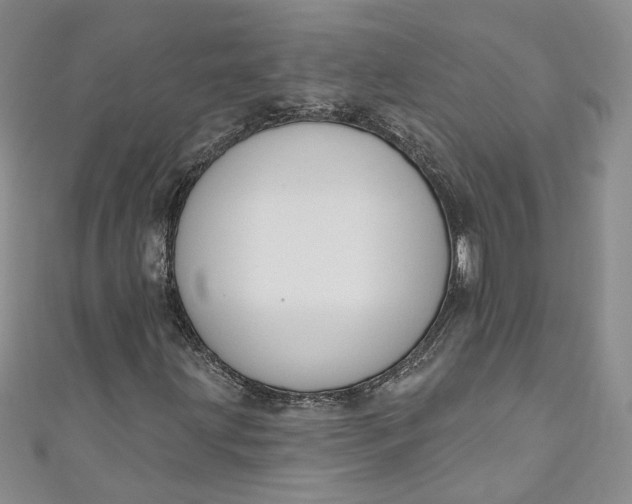 X0000110901203200907021530