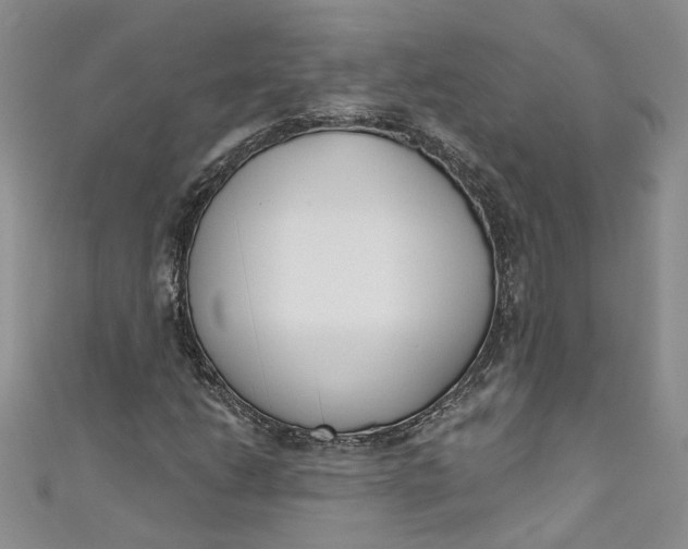 X0000110901206200907021530