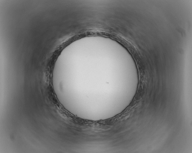 X0000110901207200907021530