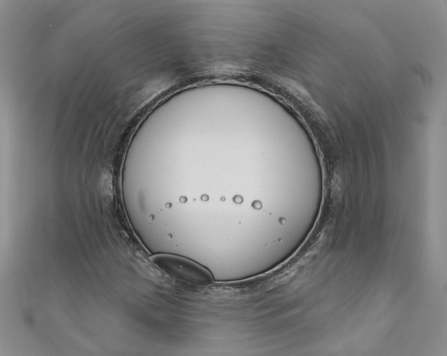 X0000110901209200907021530