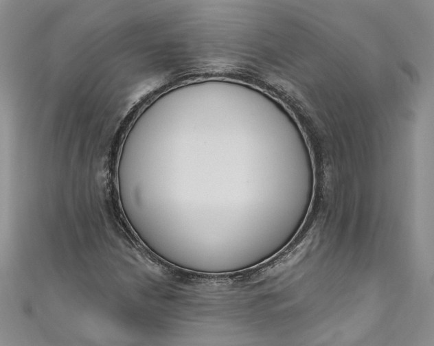 X0000110901210200907021530