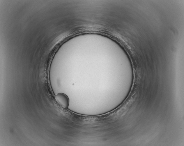 X0000110901211200907021530