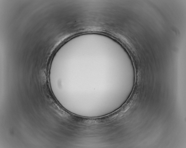 X0000110901212200907021530