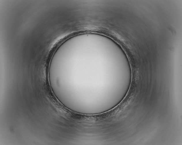 X0000110901214200907021531