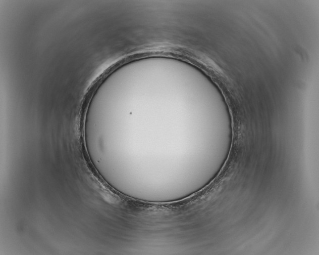 X0000110901216200907021531
