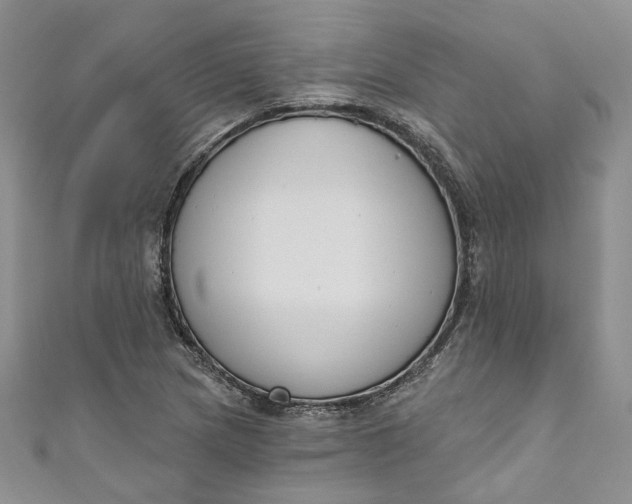 X0000110901217200907021531