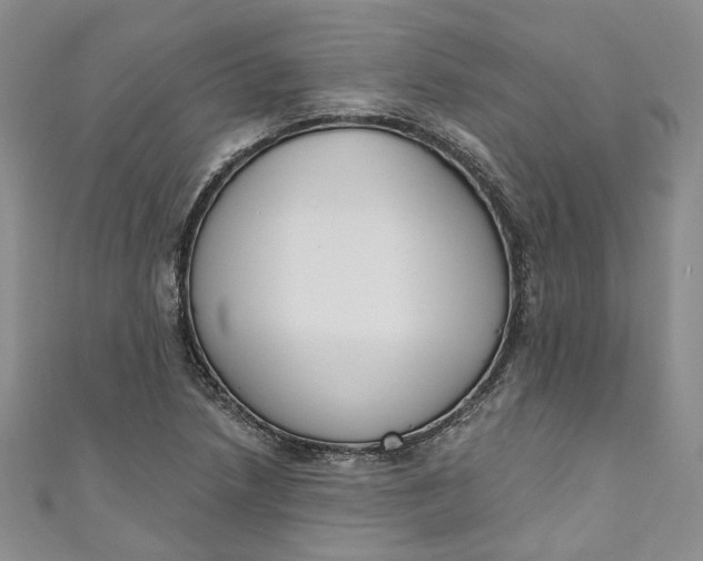 X0000110901218200907021531