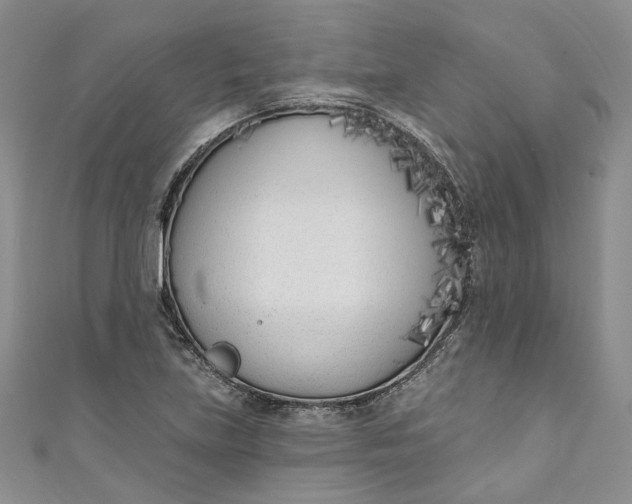X0000110901219200907021531