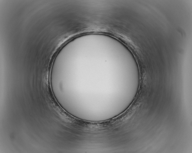 X0000110901220200907021531