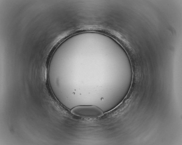 X0000110901221200907021531