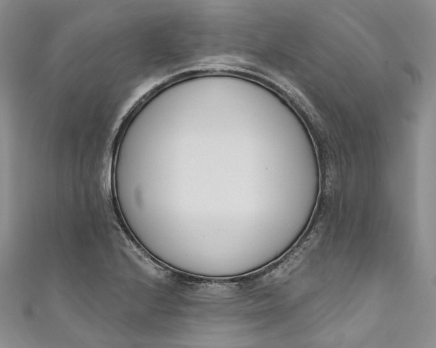 X0000110901224200907021531