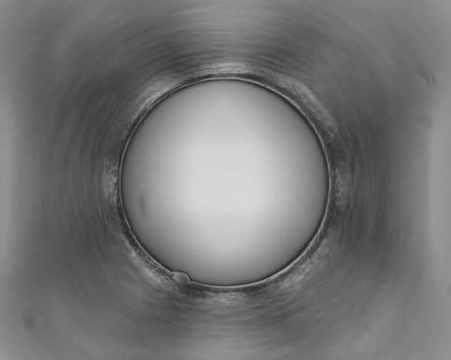 X0000110901225200907021531