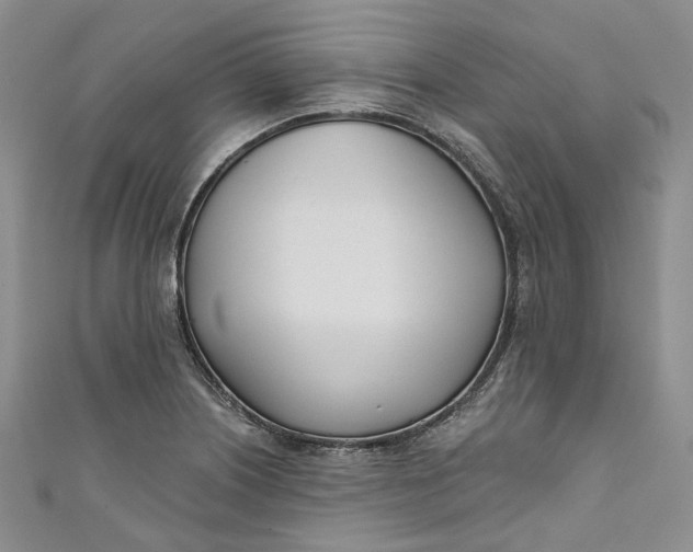 X0000110901226200907021531