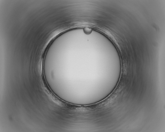 X0000110901227200907021531
