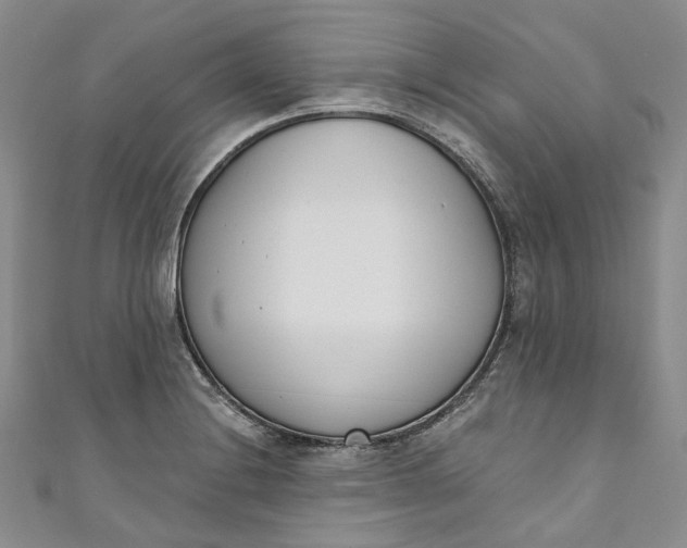 X0000110901228200907021531