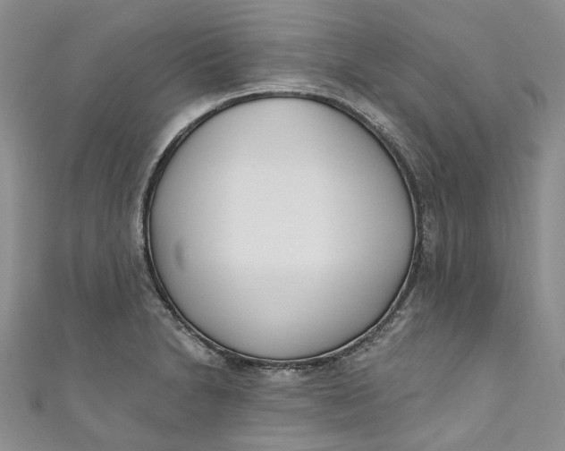 X0000110901230200907021531