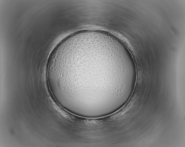 X0000110901231200907021531