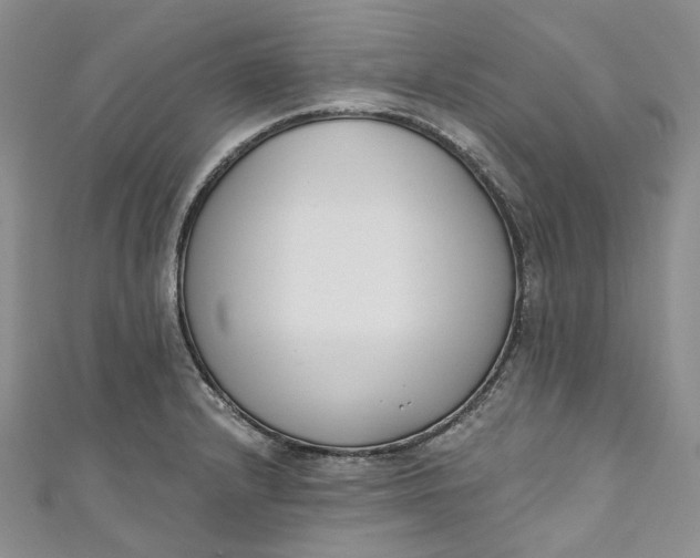 X0000110901232200907021531