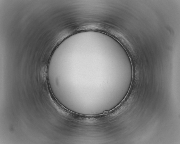 X0000110901233200907021531