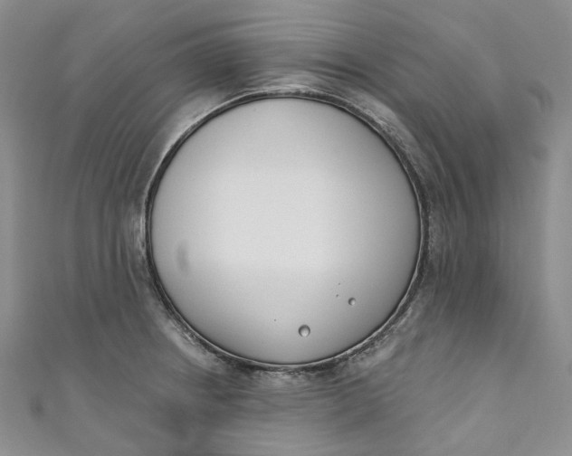 X0000110901234200907021531