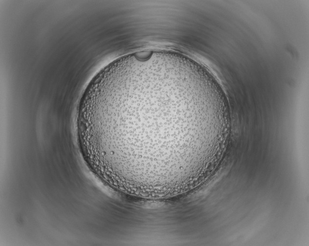 X0000110901235200907021531