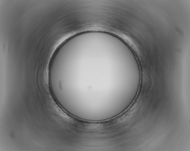 X0000110901238200907021531